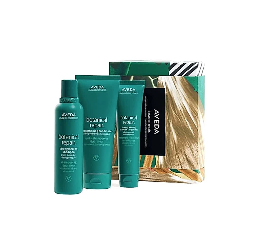 Aveda Botanical Repair Strengthening Essentials Saç Onarıcı Set